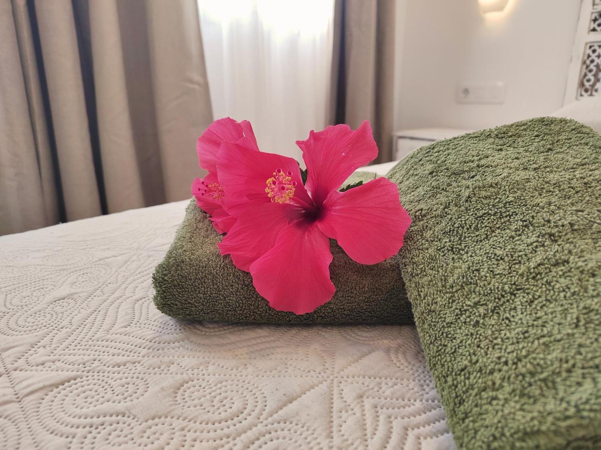 Tamarindo 27 Pool Front Next To The Dunes, Free Wifi コラレホ エクステリア 写真